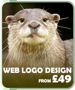 Web logo design from £49